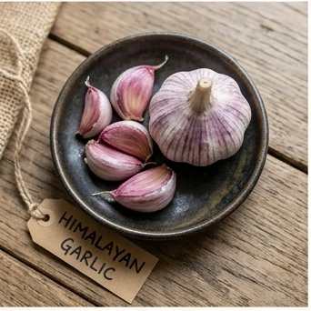 SonusZen Ingredient Himalayan Garlic